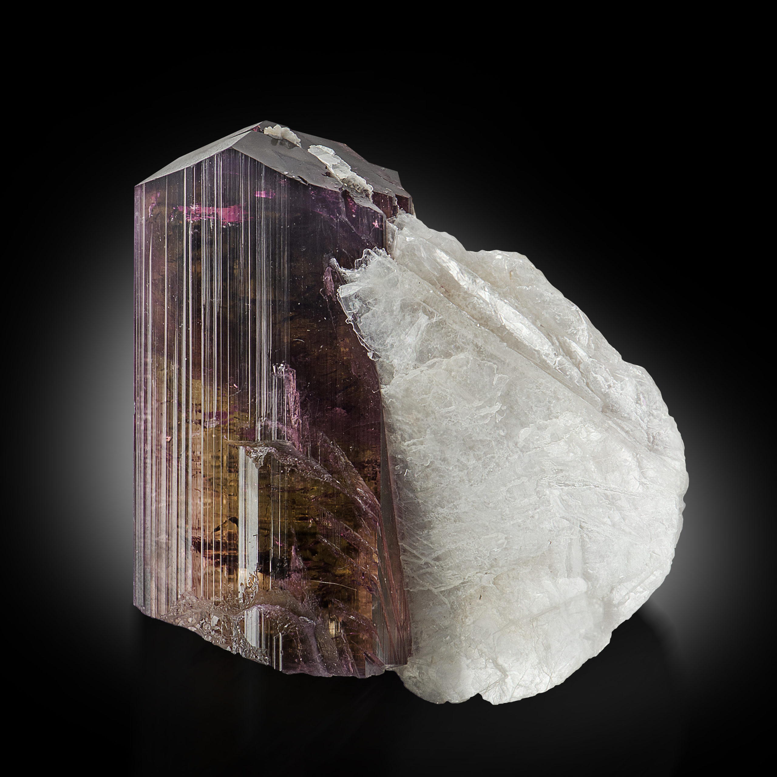 森*田様 Echinodorus sp. 'Jurua Tourmaline' Tourmaline - SM25-060 - Xanda mine - Brazil Mineral Specimen