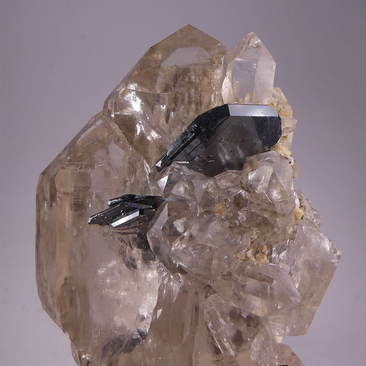 GFS0249_4