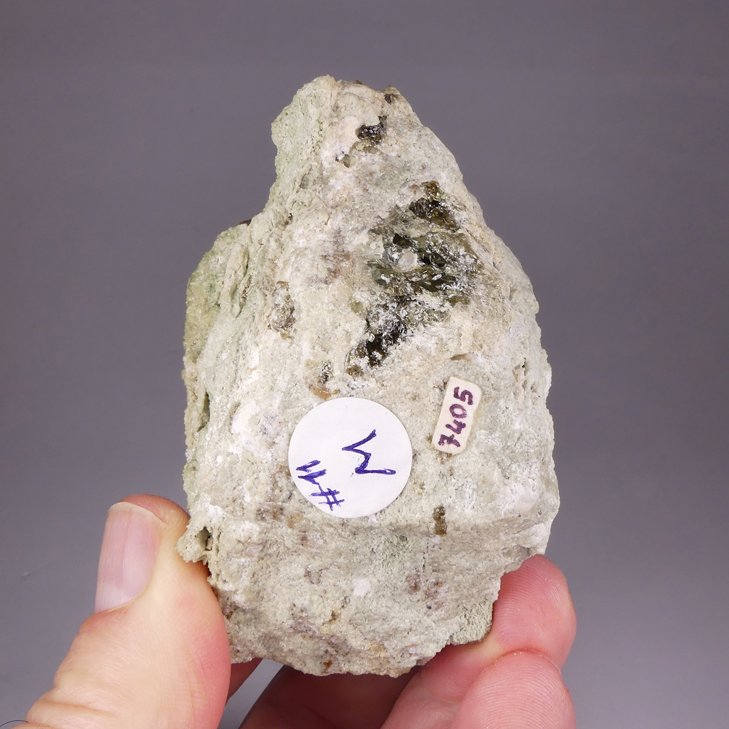 GFS0271_5
