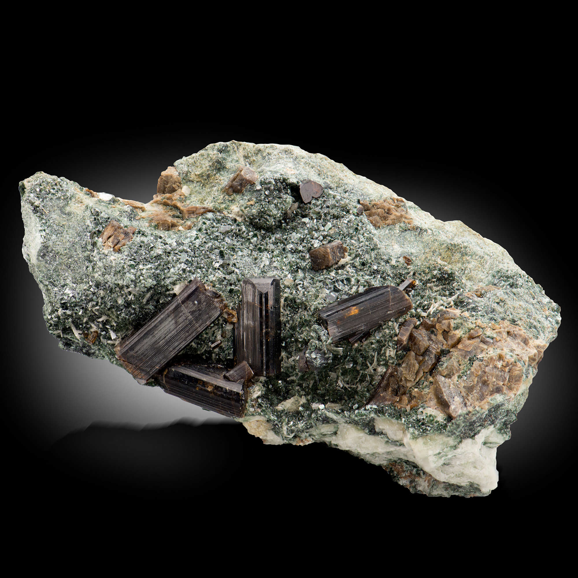 GFS0272_A