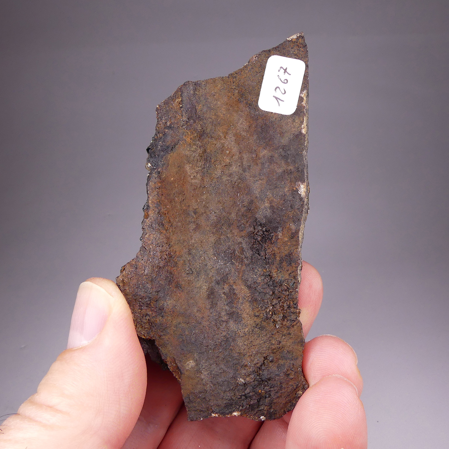 GFS0273_5