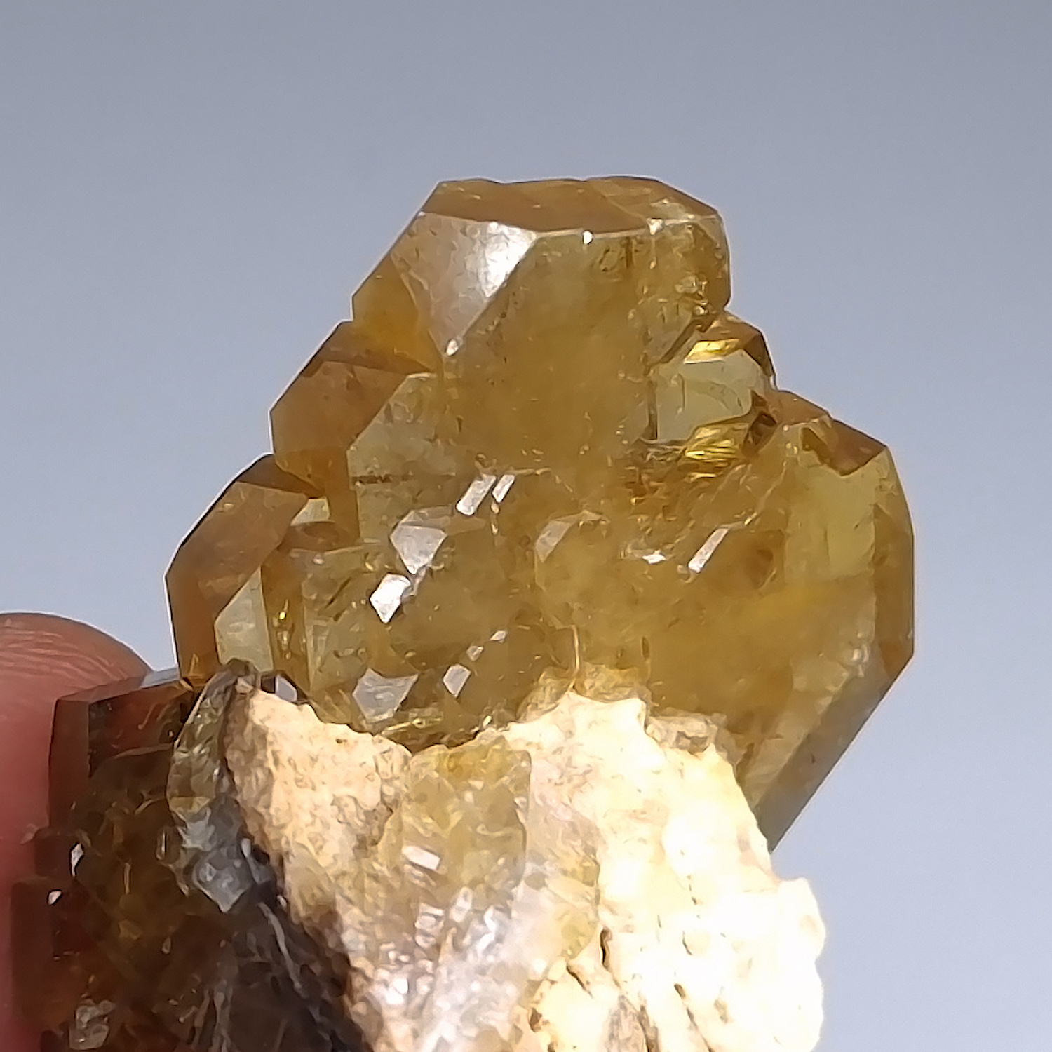 GFS0304_5