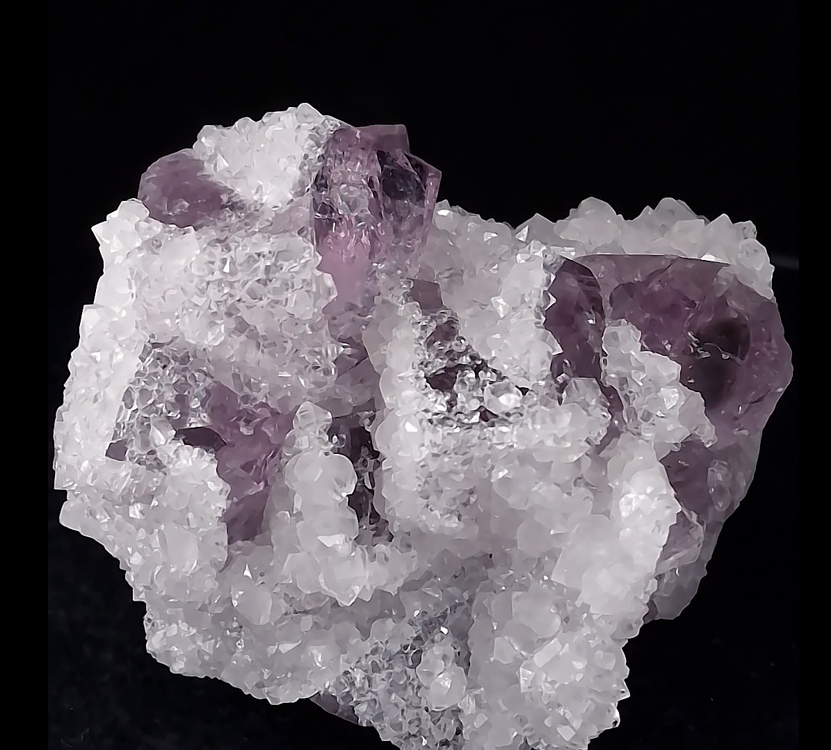 GFS0373_3