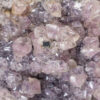 GFS0800_1