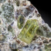 GFS0822_1
