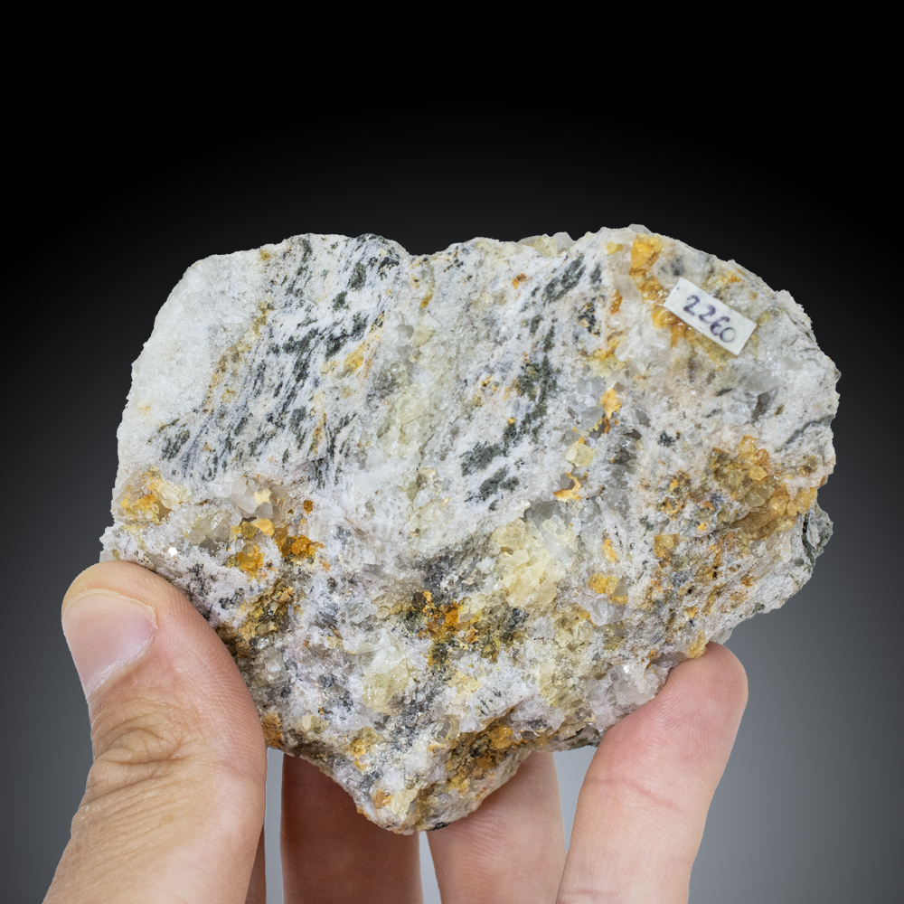 GFS0827_3
