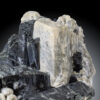 GFS0831_2