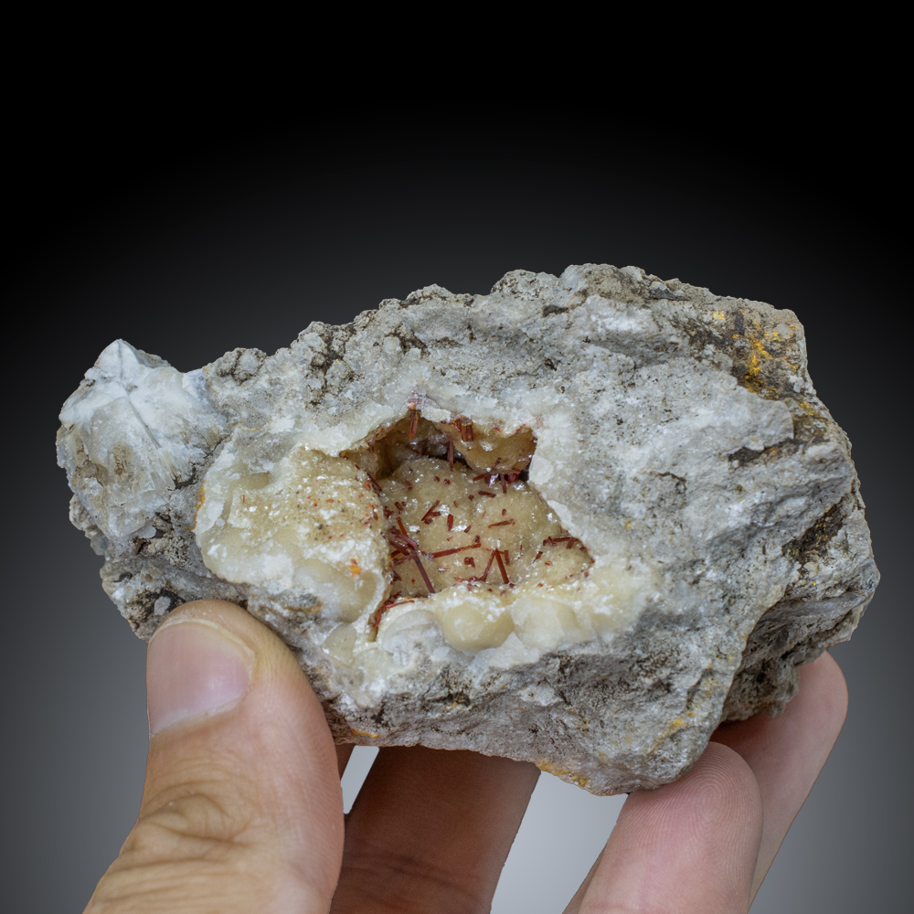 GFS0841_2