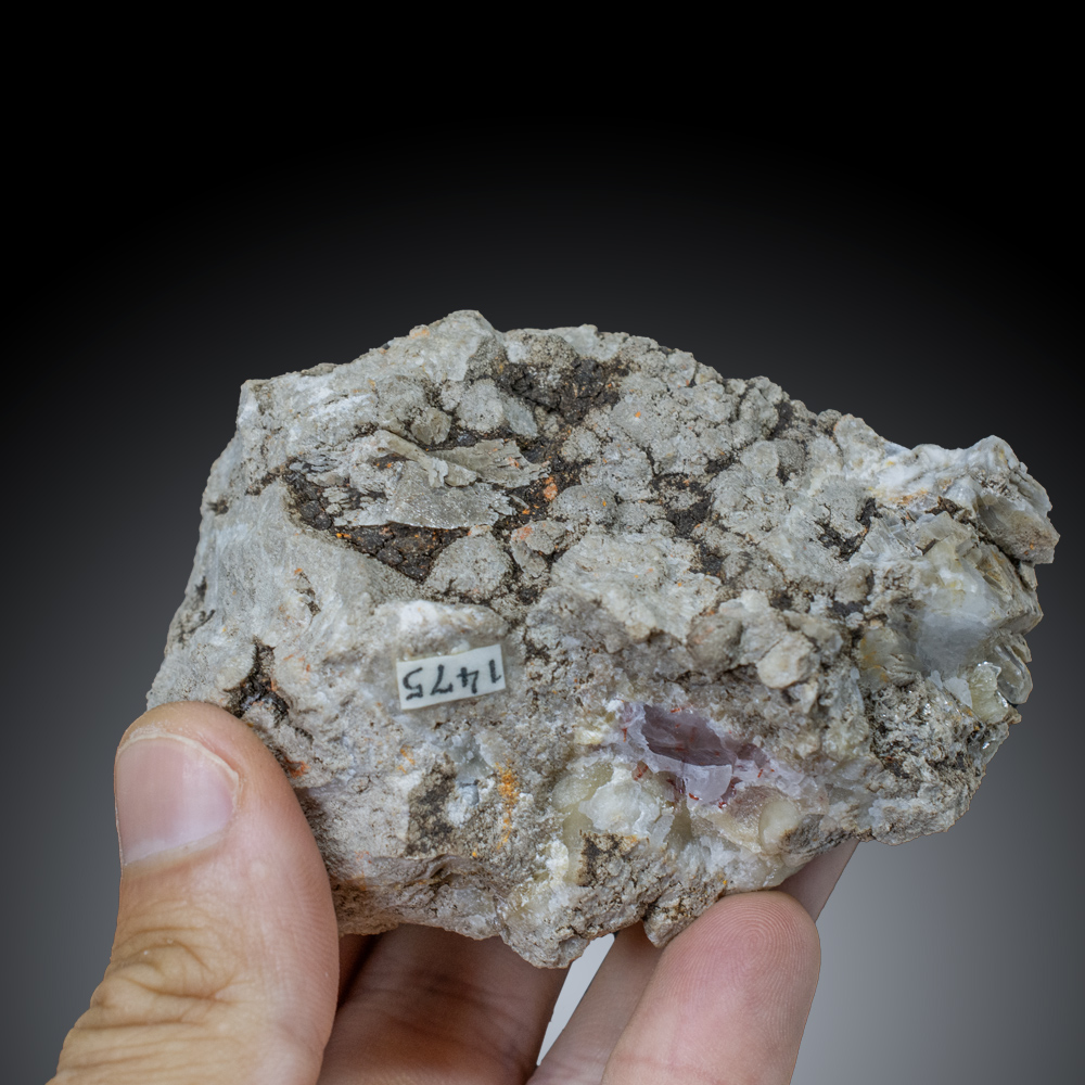 GFS0841_3