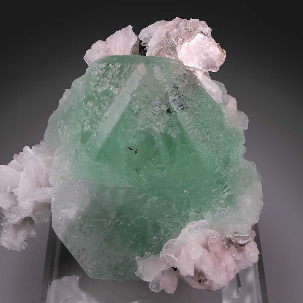 GFS0858_1