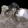 GFS0878_1