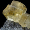 GFS0880_3