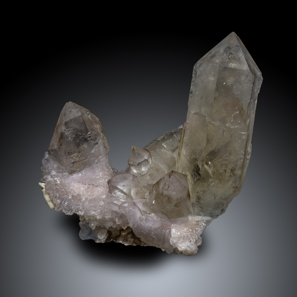 GFS0904