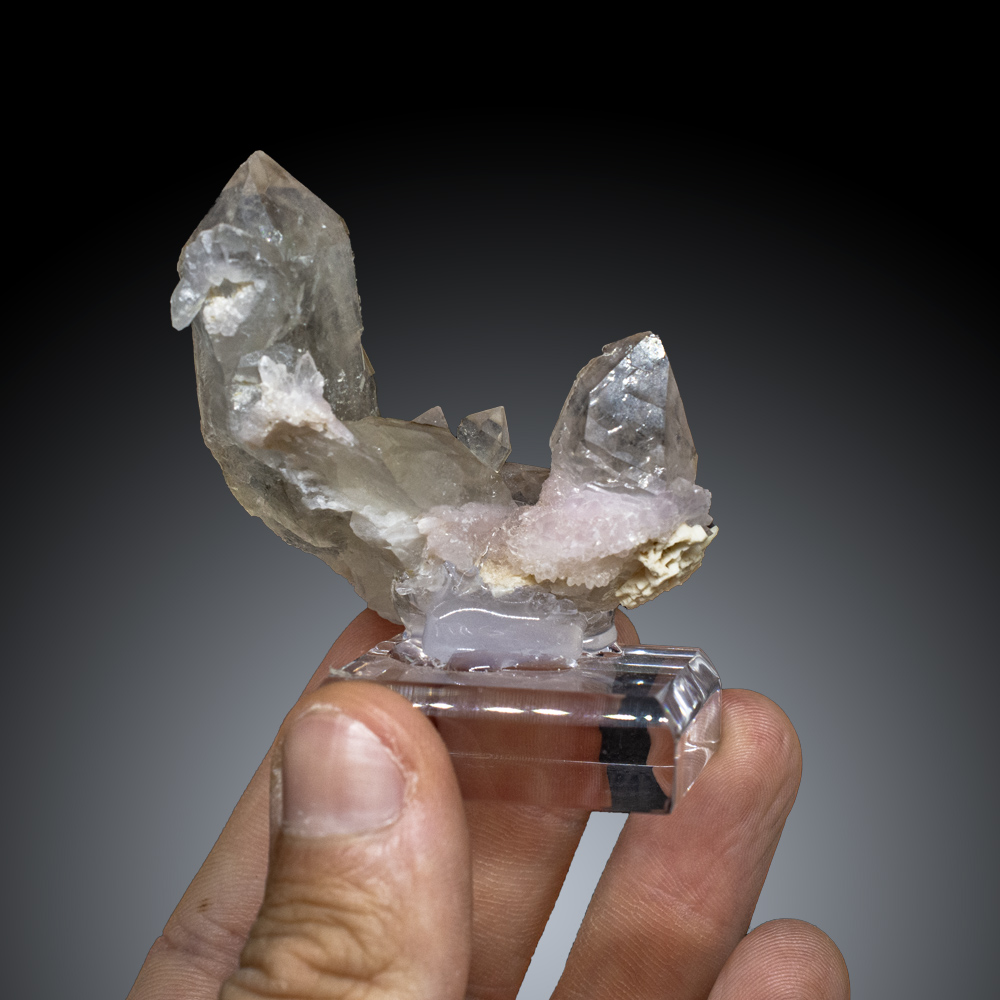 GFS0904_3