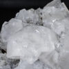 GFS0920_1